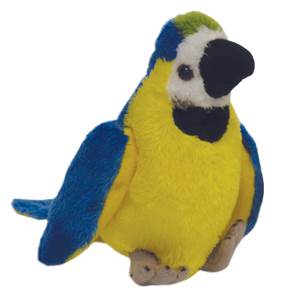 DZC Small Macaw